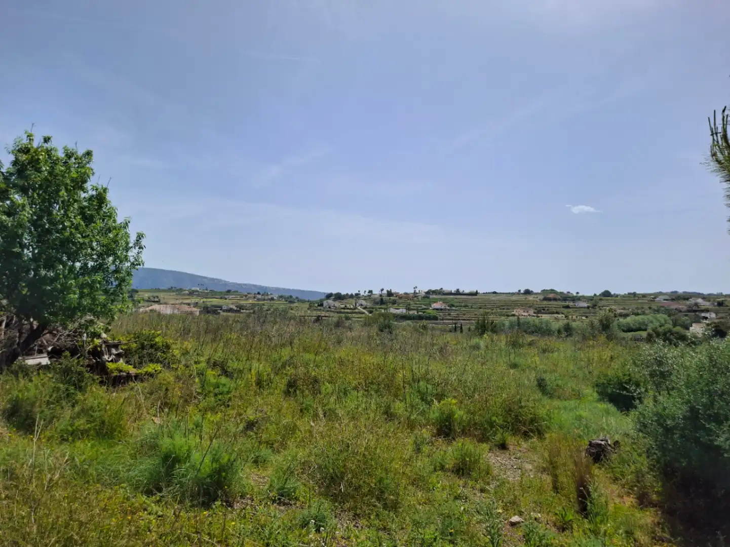 Terreny residencial en venda a Teulada, imagen 7