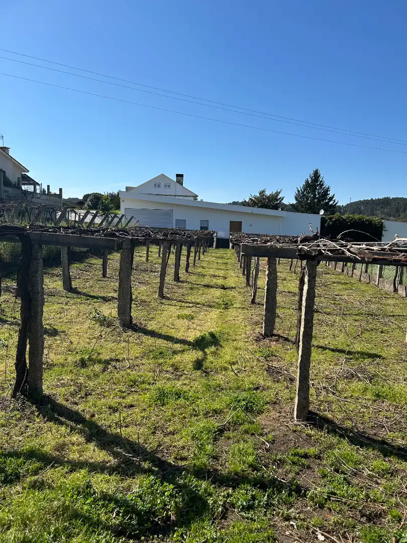 Xalet amb jardí en venda a Rua Estrada a Barrantes, imagen 6