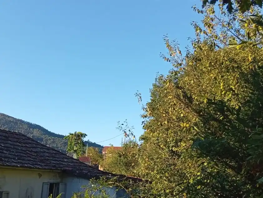 Exterior view of Houses for sale in Padrenda  with Private garden and Furnished