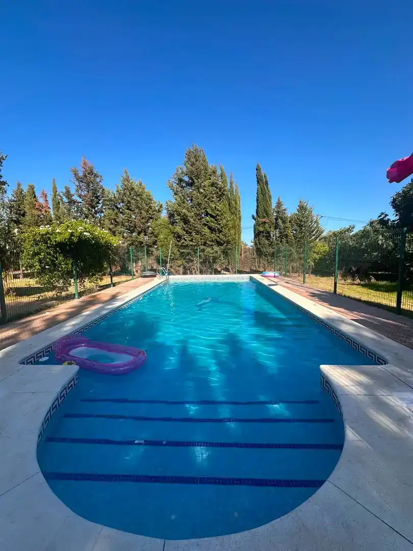 Swimming pool of Country homes for rent in Punta Umbría, Huelva