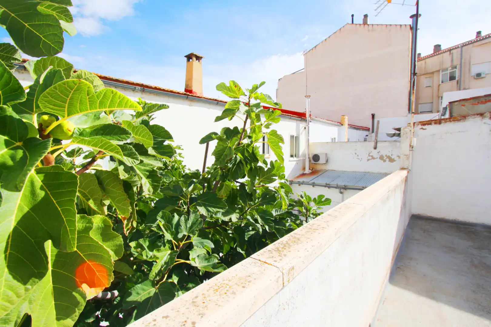Vista exterior de Casa o xalet en venda en Albacete amb Calefacció, Terrassa i Traster