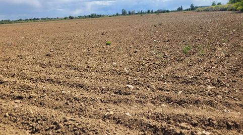 Finca Rúst. en venta en Malagon.