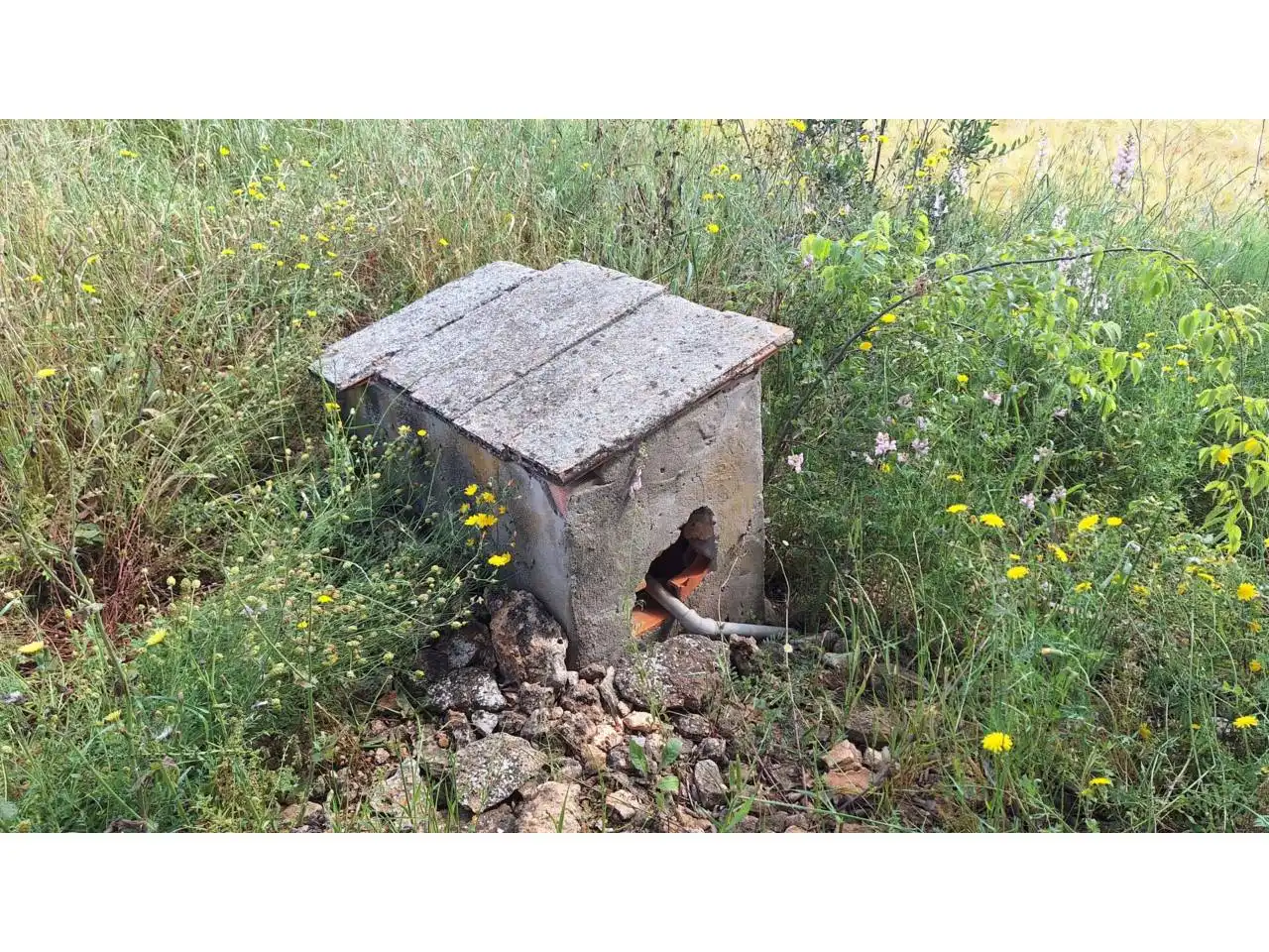 Terreny rústic en venda a Galim, imagen 9