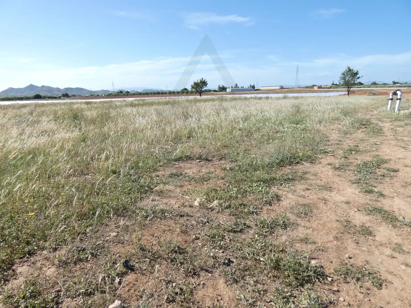 Terreni e lotti in vendita a Pedanías Oeste, imagen 11
