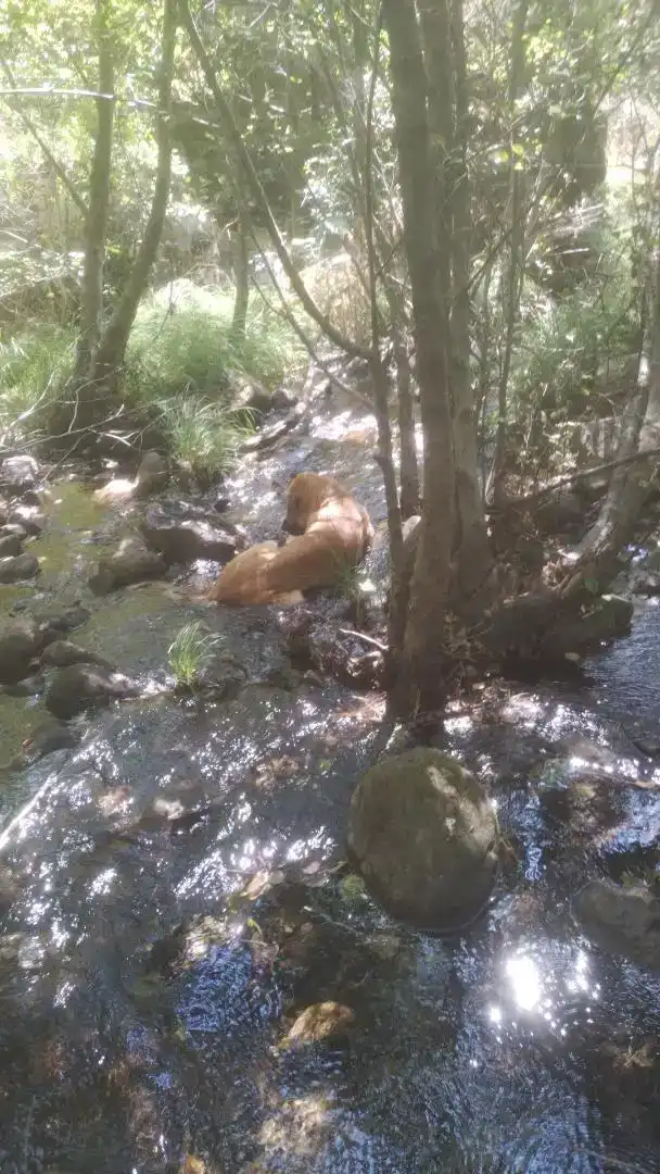 Vista exterior de Finca rústica en venda en Gata amb Rentadora