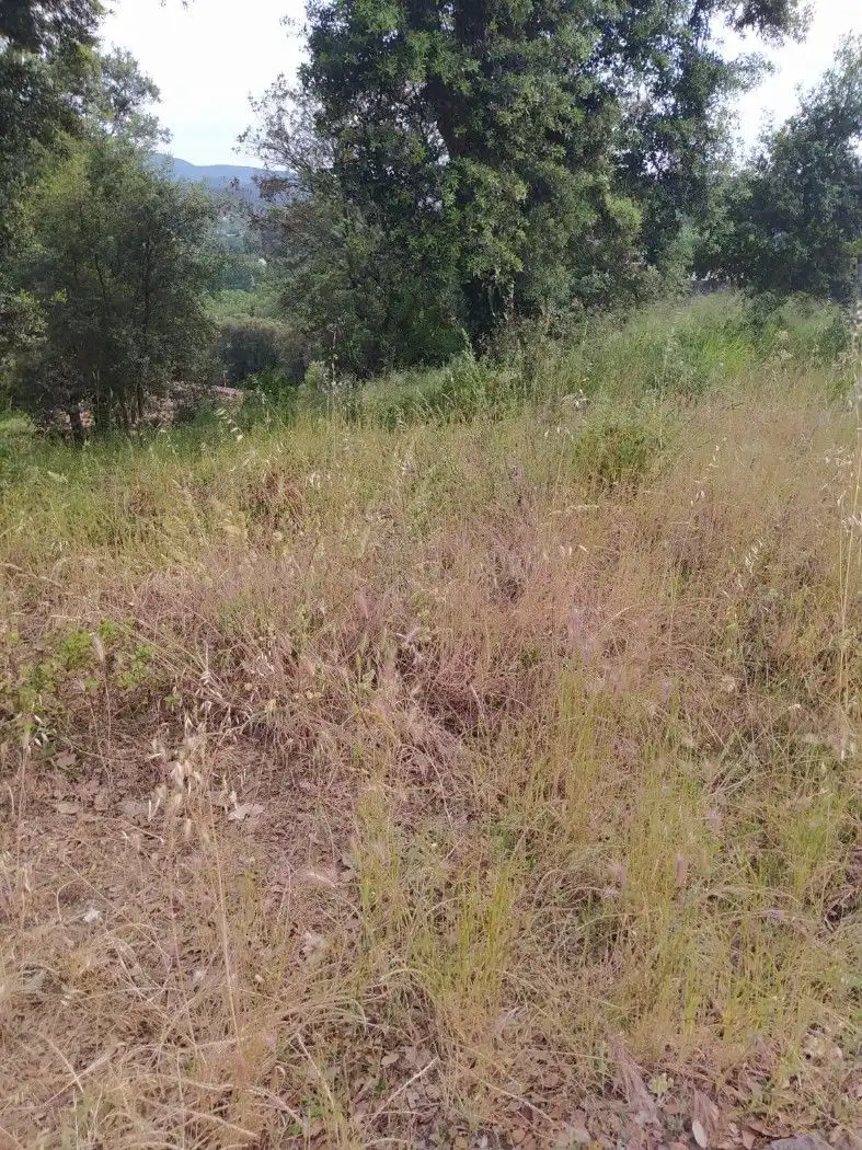 Terreny residencial en venda a Gualba, imagen 6
