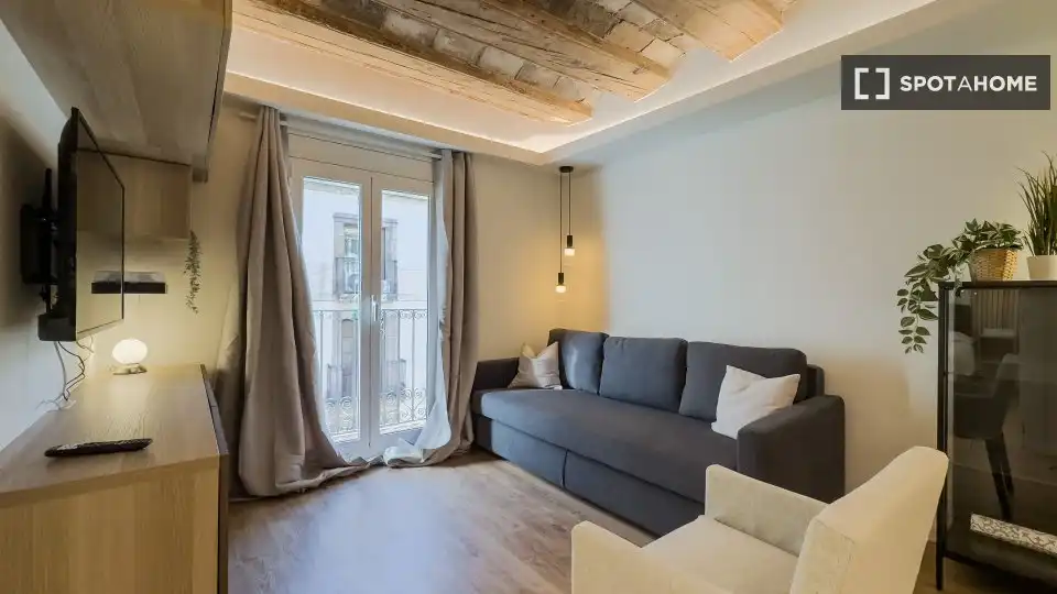Flat to rent in Ciutat Vella, imagen 13