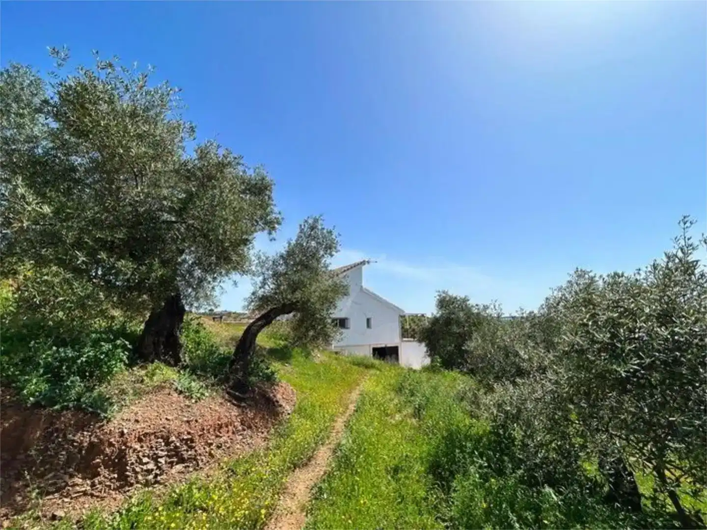 Vista exterior de Pis en venda en Montoro amb Aire condicionat, Jardí privat i Traster