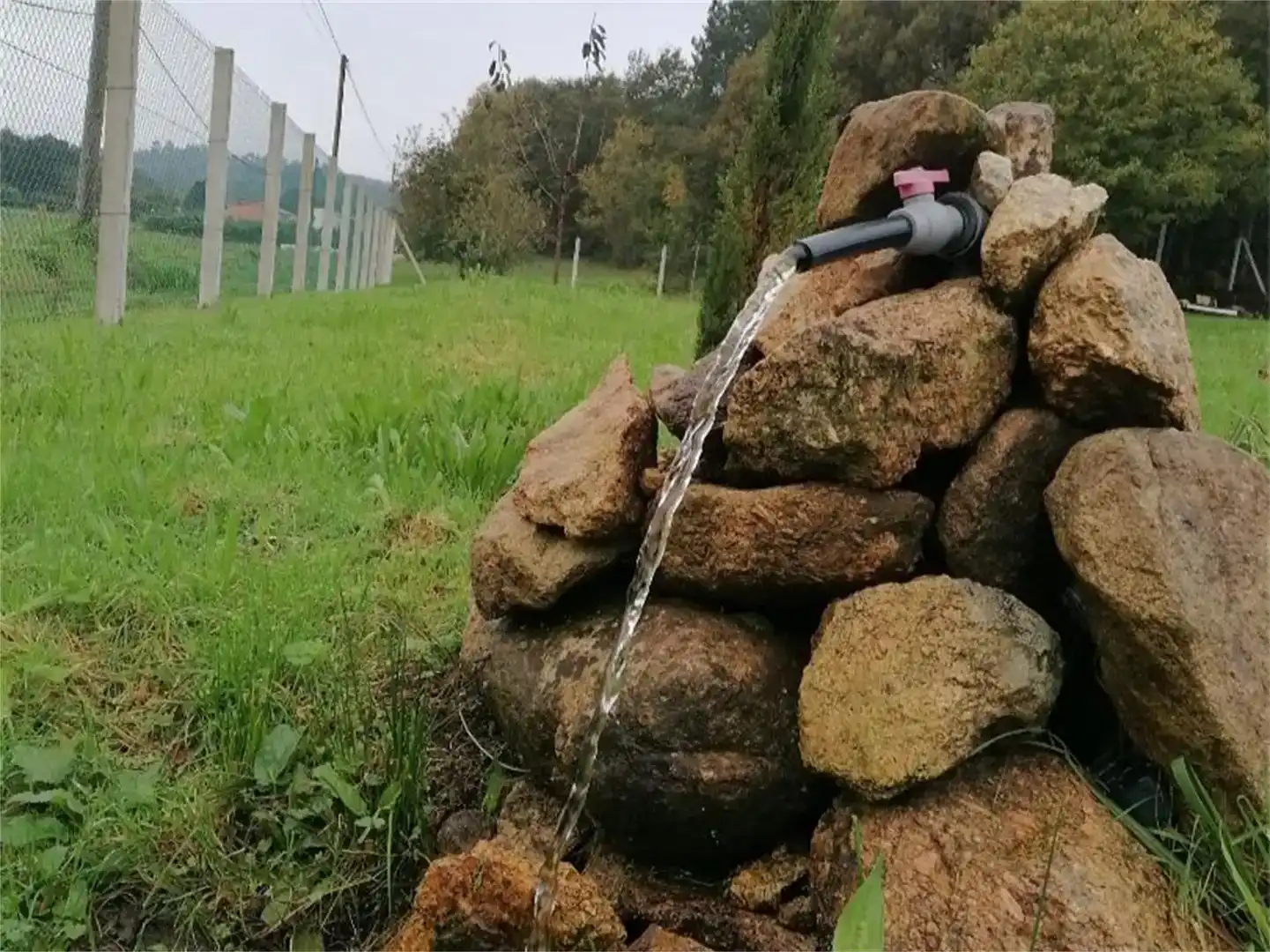 Jardí de Finca rústica en venda en Teo