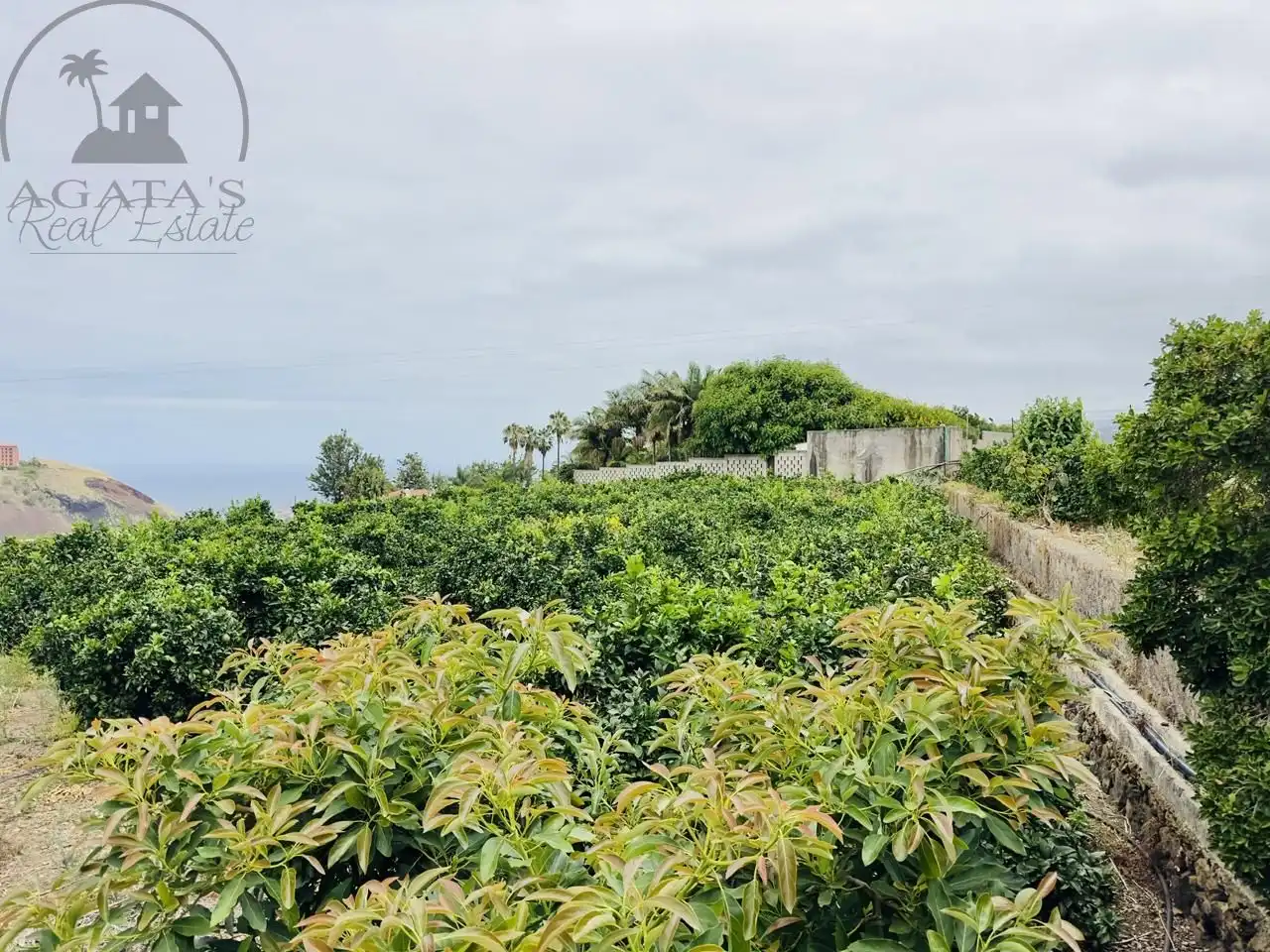 Finca rústica en venta en La Orotava con Jardín privado y Terraza