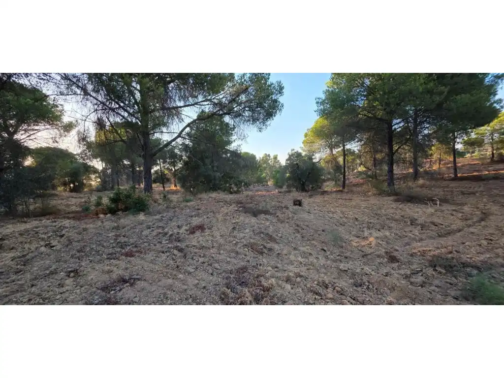 Terreni e lotti in vendita a Villablanca, imagen 3