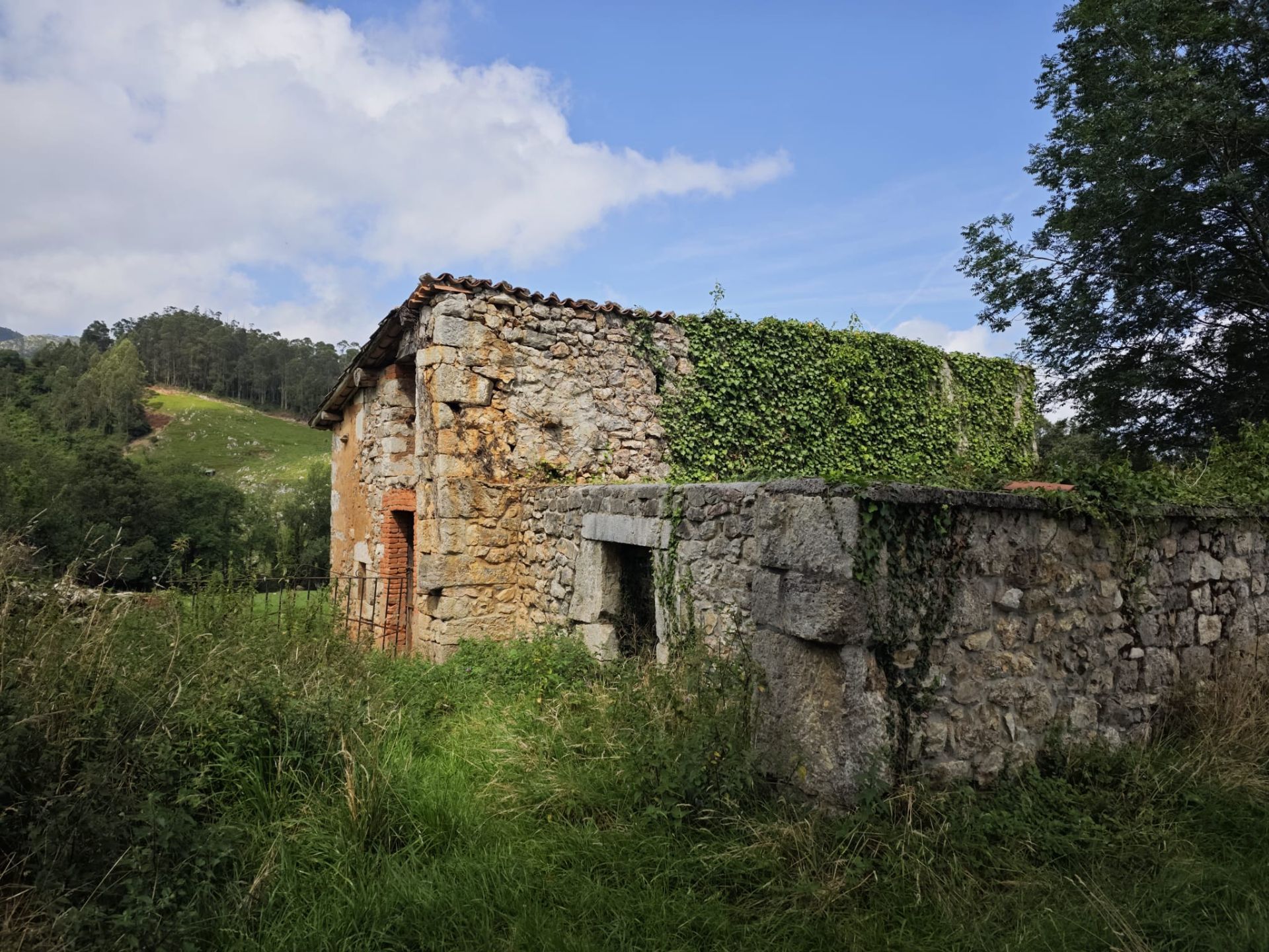 Residential for sale in Ribadedeva