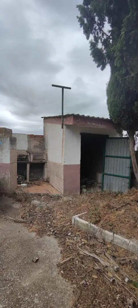 Vista exterior de Finca rústica en venta en Pina de Ebro con Jardín privado