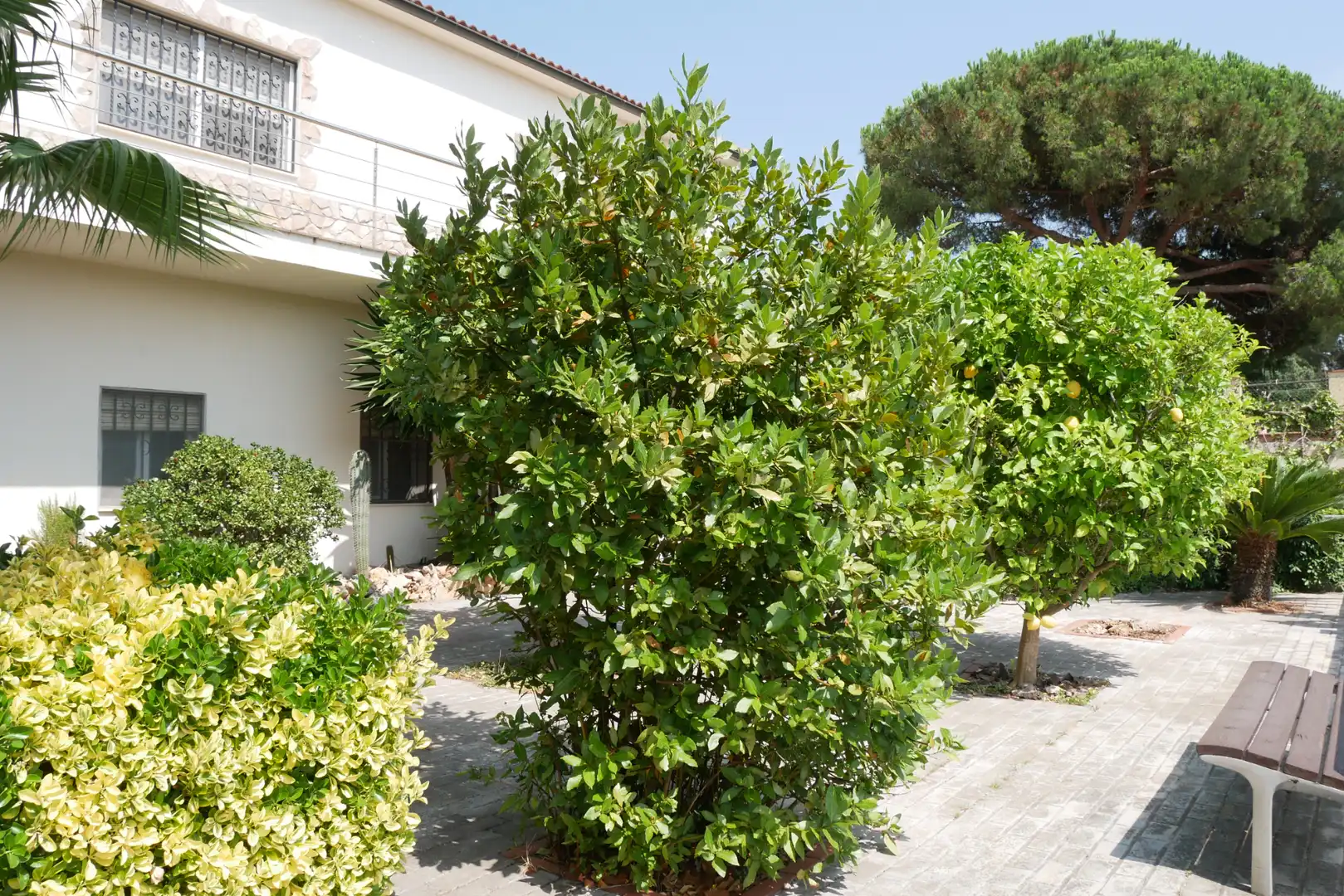 Garden of Houses for sale in Lloret de Mar  with Heating, Private garden and Swimming Pool