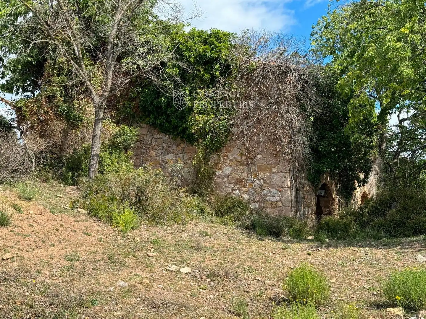 Finca rústica en venda en Cabanelles