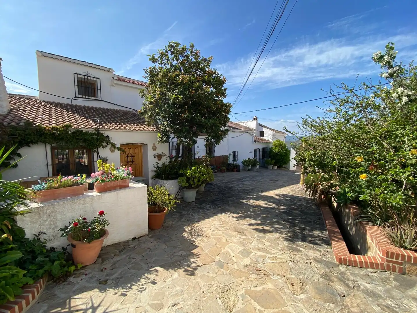 Vista exterior de Casa adosada en venta en Periana