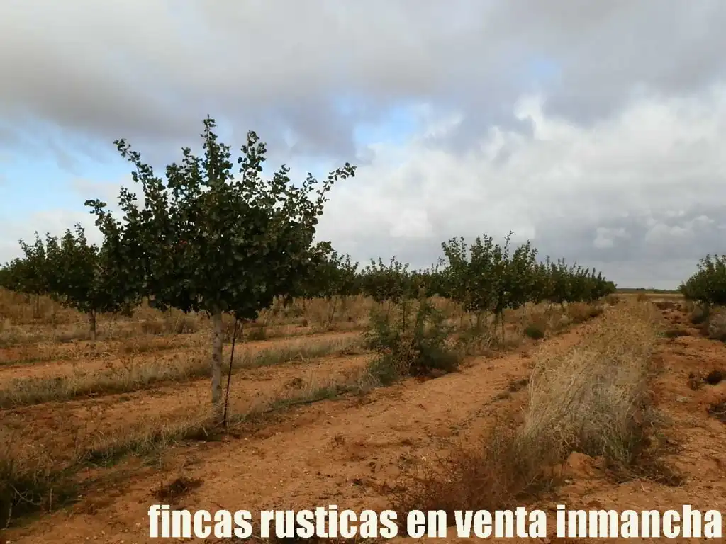 Terreni e lotti in vendita a Las Mesas, imagen 3