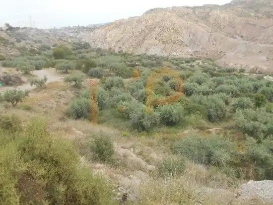 Terrain rustique à vendre à Huércal-Overa, imagen 7