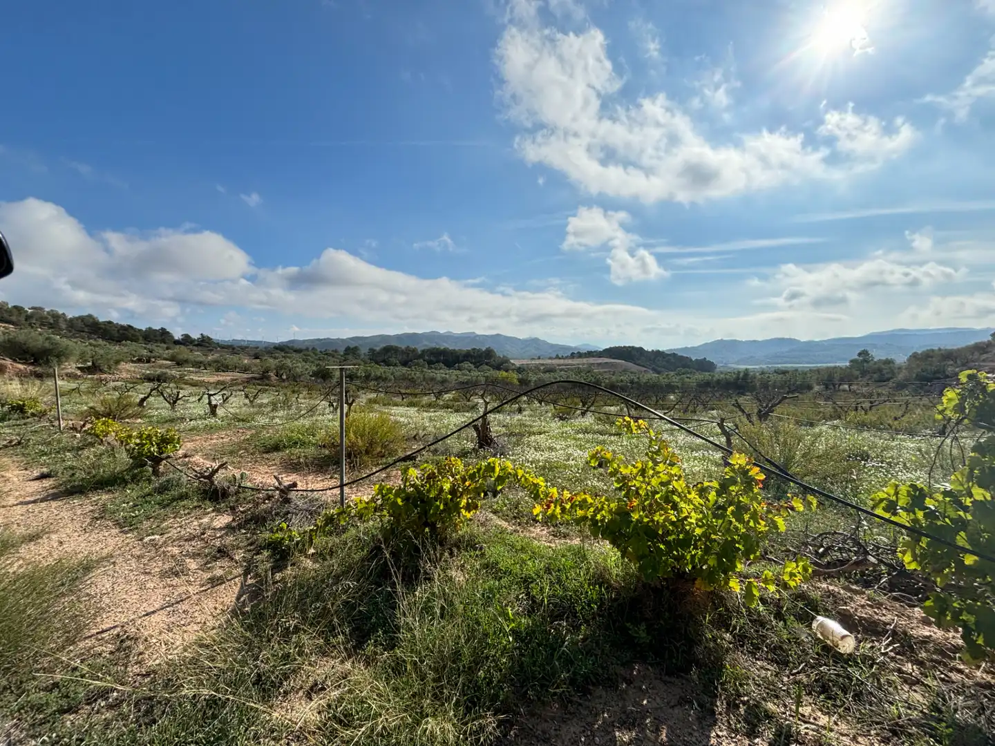 Terreno en venta en La Fatarella