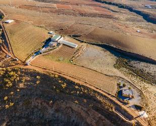 Vista exterior de Finca rústica en venda en Alcolea amb Aire condicionat, Terrassa i Piscina