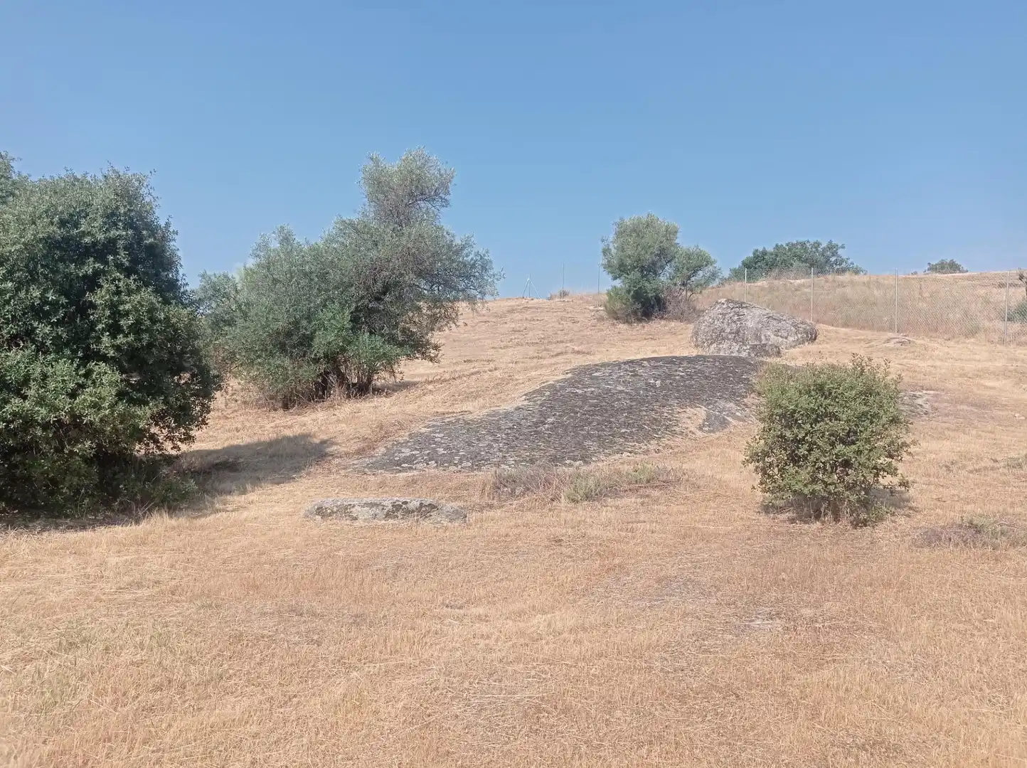 Terreni e lotti in vendita a San Martín de Valdeiglesias, imagen 5