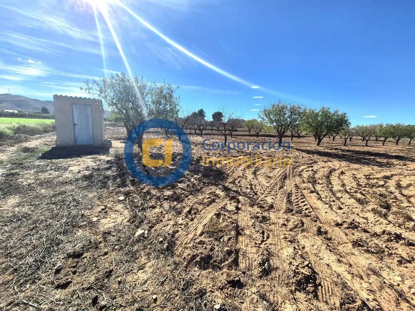 Terreny residencial en venda a Pedanías Sur, imagen 3