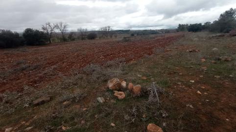 Foto 4 de Terreno en venta en La Guija, Ciudad Real Capital