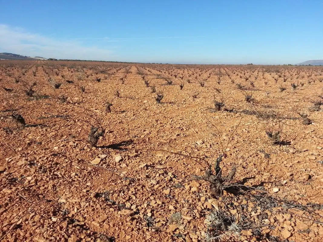 Terreno rustico in vendita a Valdepeñas, imagen 5