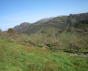 Residencial en venda en Villaviciosa