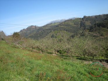 Rural land for sale in C/ Breceña Km 332