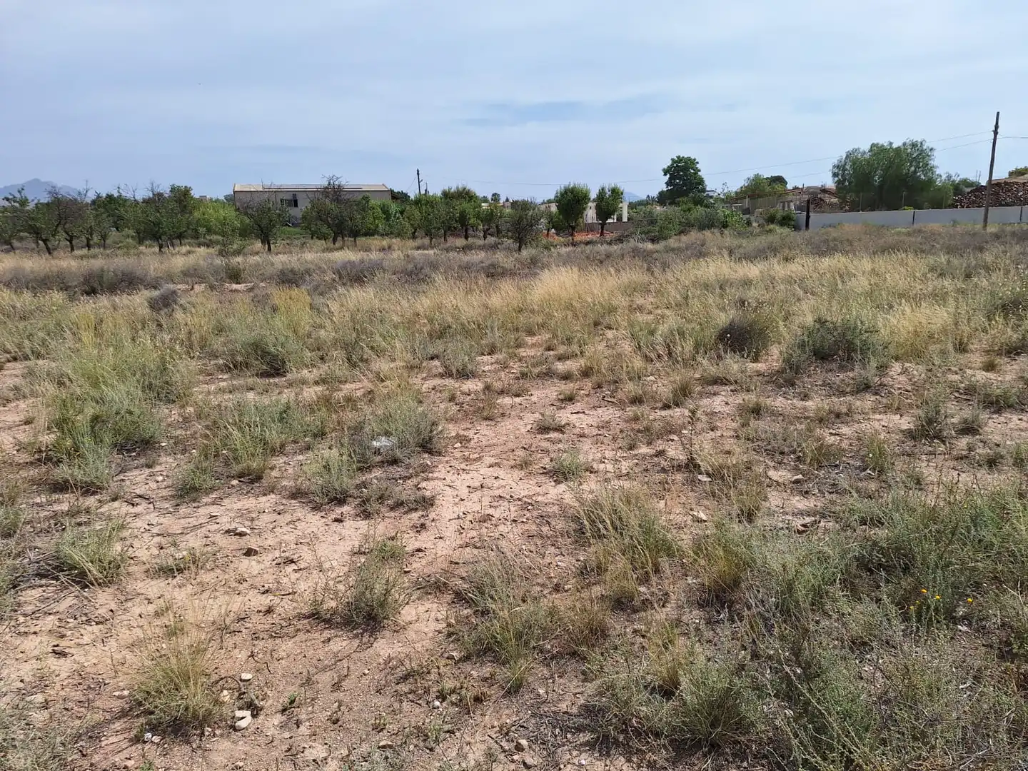 Terreny rústic en venda a Carretera Agost-Urbs 28B, imagen 4