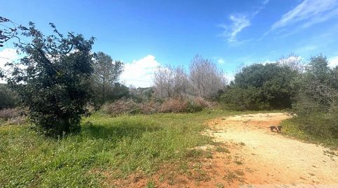 Foto 2 de Residencial en venta en La Granadella - Costa Nova, Jávea / Xàbia