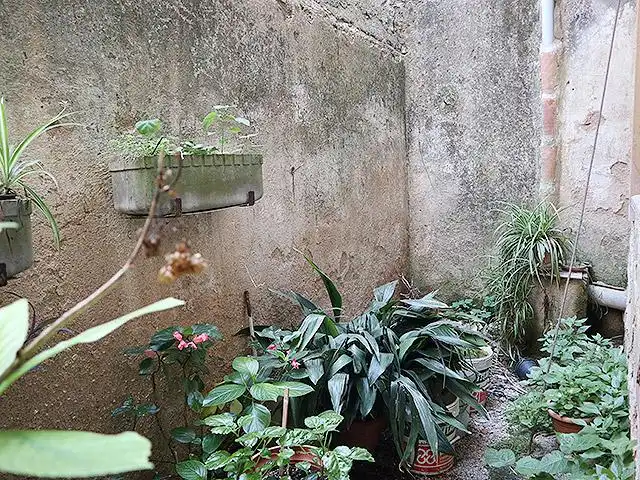 Garten von Geschaftsraum zum Verkauf in Ulldecona mit Terrasse