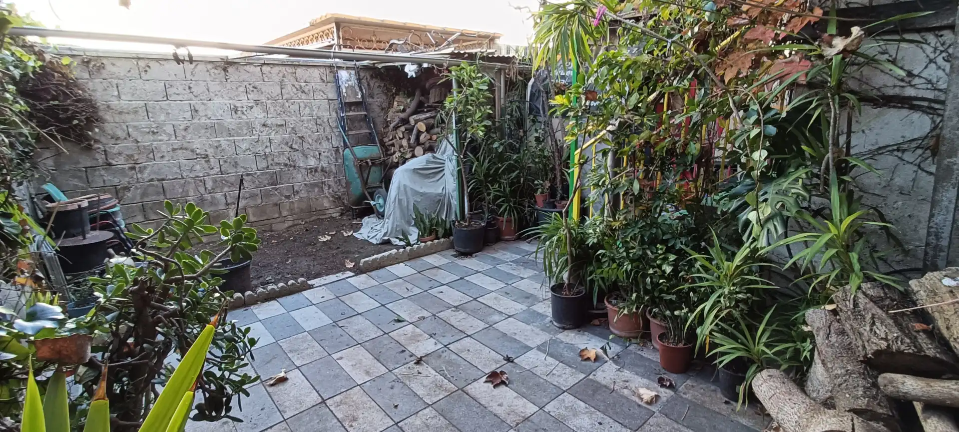 Terrace of Detached homes for sale in Jerez de la Frontera  with Jacuzzi