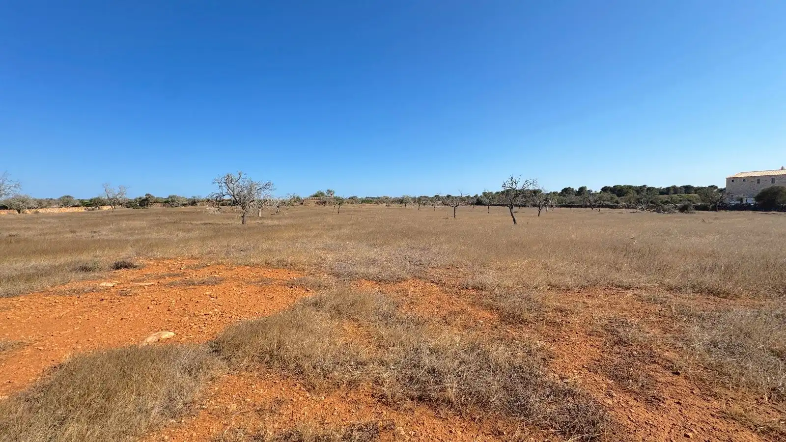Wohnbaugrundstück zum Verkauf in Ses Salines Poble, imagen 12