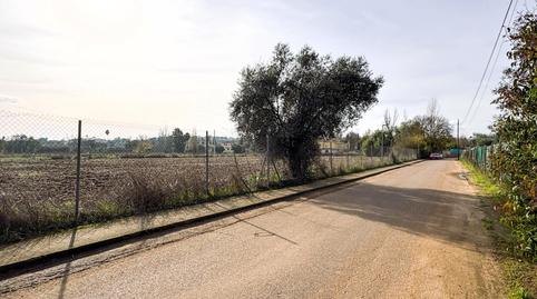 Photo 5 of Land for sale in Urbanizacion Polígono 288 Paraje 768 Calamon, Casco Antiguo, Badajoz