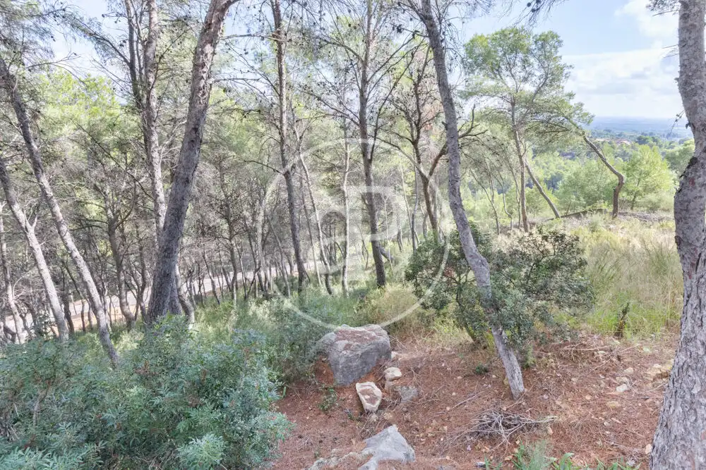 Terreno residenziale in vendita a El Bosque, imagen 16