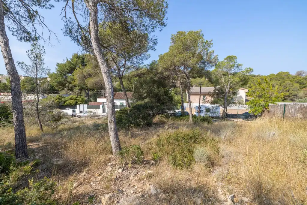 Rural land for sale in Cala Vinyes, imagen 11
