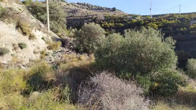 Land for sale in Nerja