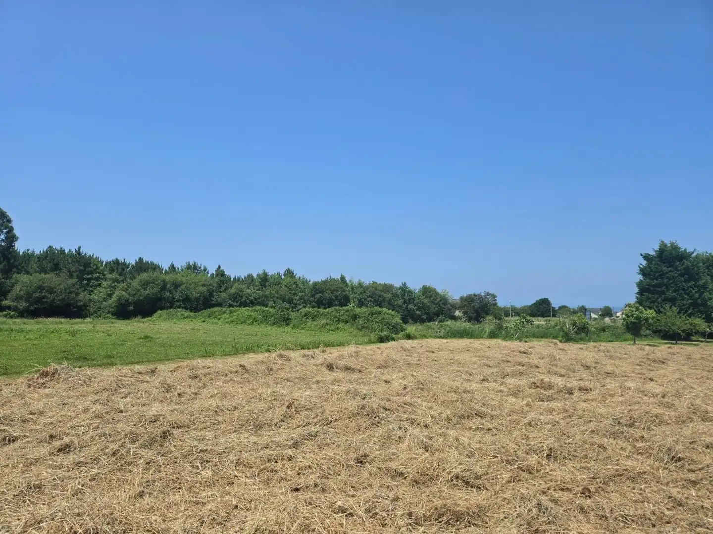 Residential land for sale in Carretera GENERAL SAN PEDRO 148, imagen 27