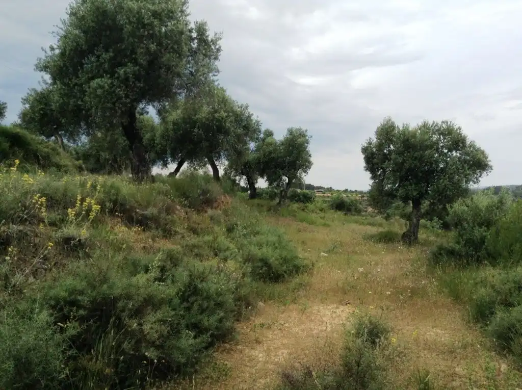 Rural land for sale in Horta de Sant Joan, imagen 5