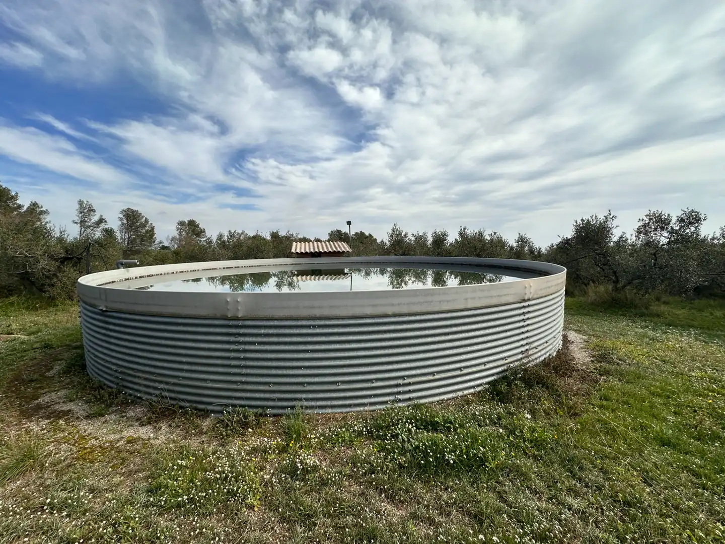 Piscina de Finca rústica en venda en Riudecanyes amb Calefacció, Jardí privat i Terrassa