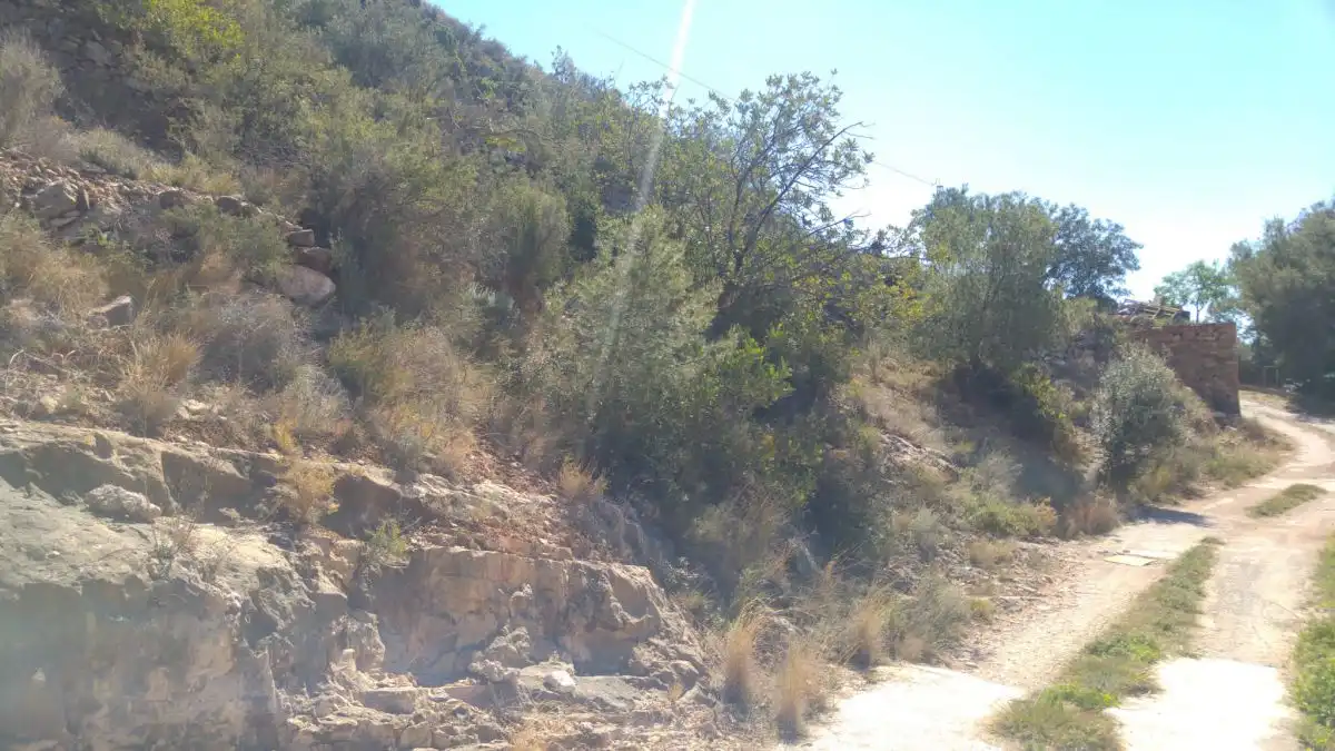 Lands and plots for sale in Borriol, imagen 4
