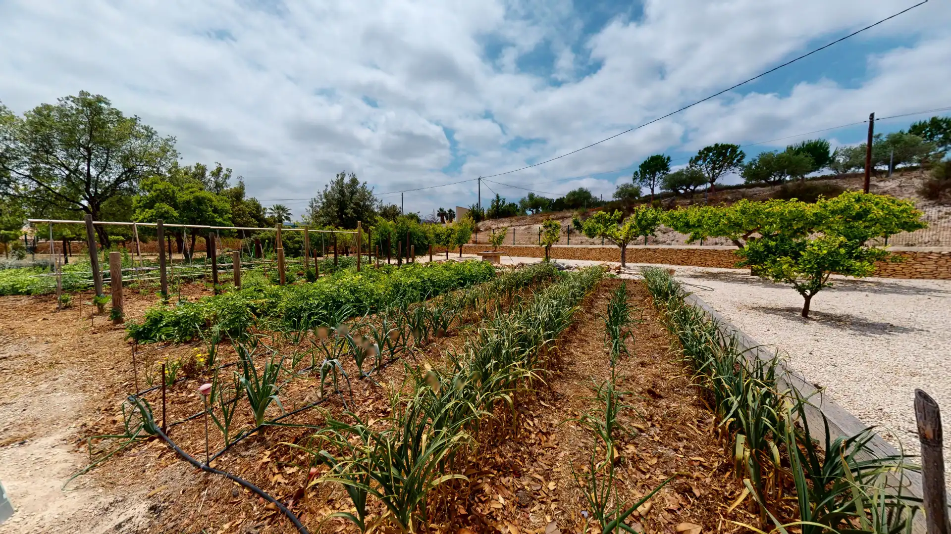 Jardín de Casa o chalet en venta en Monóvar  / Monòver con Aire acondicionado, Calefacción y Jardín privado