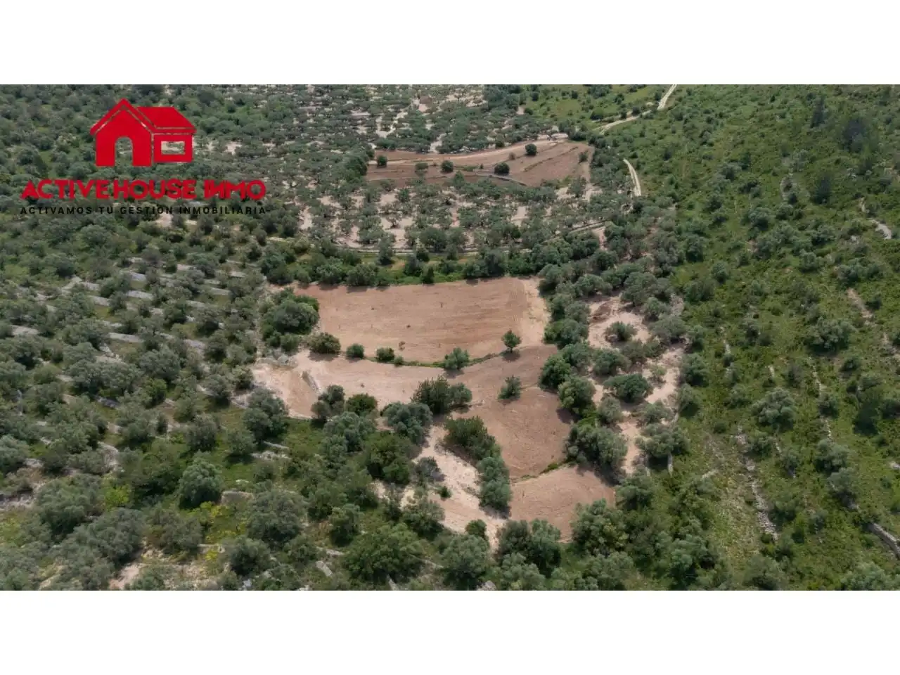 Terreno rústico en venta en Mas de Barberans, imagen 9