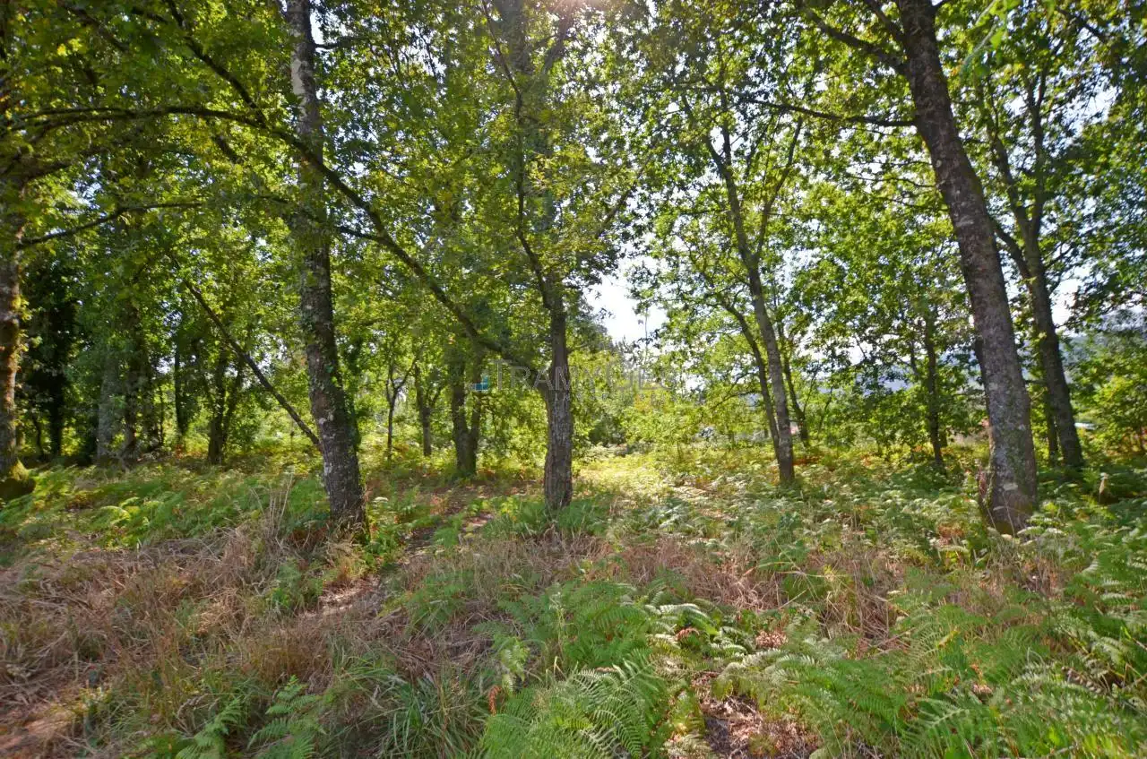 Wohnbaugrundstück zum Verkauf in LUGAR A COSTA, imagen 9