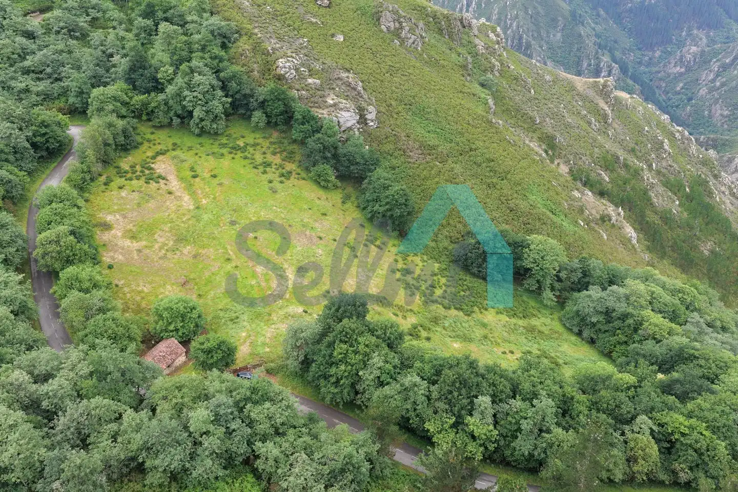 Land for sale in Proaza