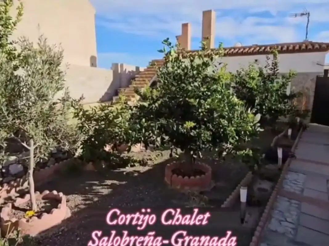 Xalet amb jardí en venda a Avenida del Mediterraneo 12, imagen 16