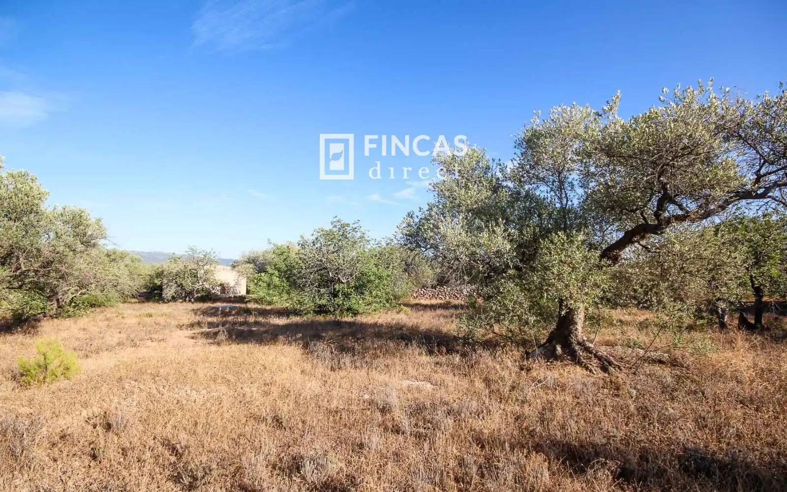 Country homes for sale in Xerta