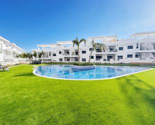 Piscina de Casa o xalet en venda en Torrevieja amb Terrassa i Piscina